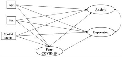 Socio-Demographic Variables, Fear of COVID-19, Anxiety, and Depression: Prevalence, Relationships and Explanatory Model in the General Population of Seven Latin American Countries